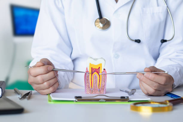 Best Same-Day Emergency Dental Services in Peabody, KS